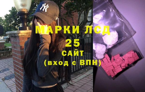 крисы Кодинск