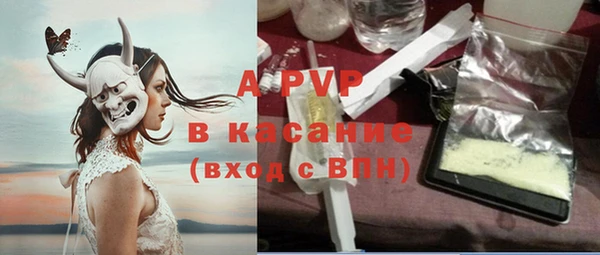 стафф Кинешма