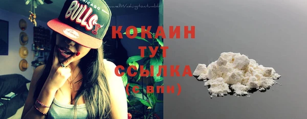 крисы Кодинск