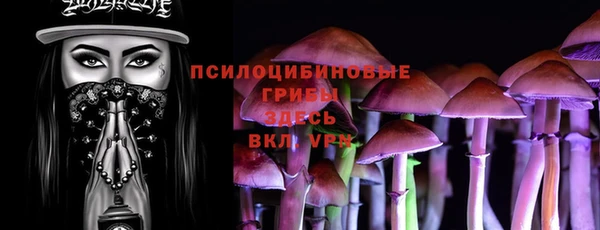 амф Костерёво