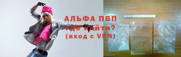 крисы Кодинск