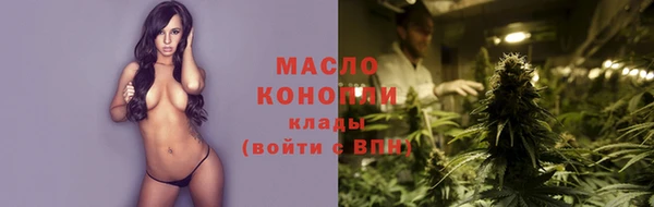 крисы Козельск