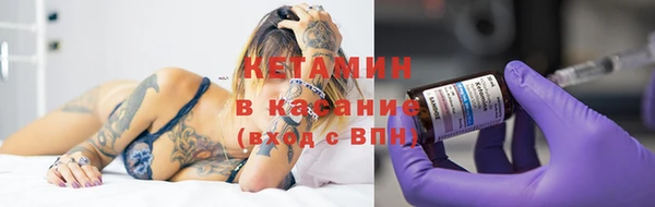 крисы Козельск
