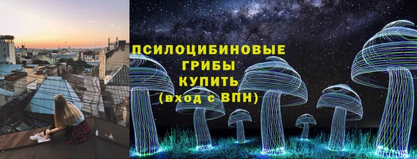 крисы Козельск