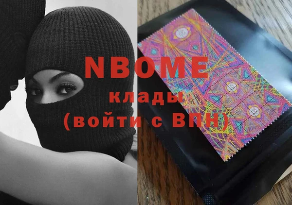 крисы Козельск