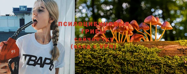 крисы Козельск