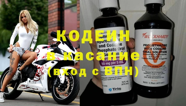 крисы Кодинск