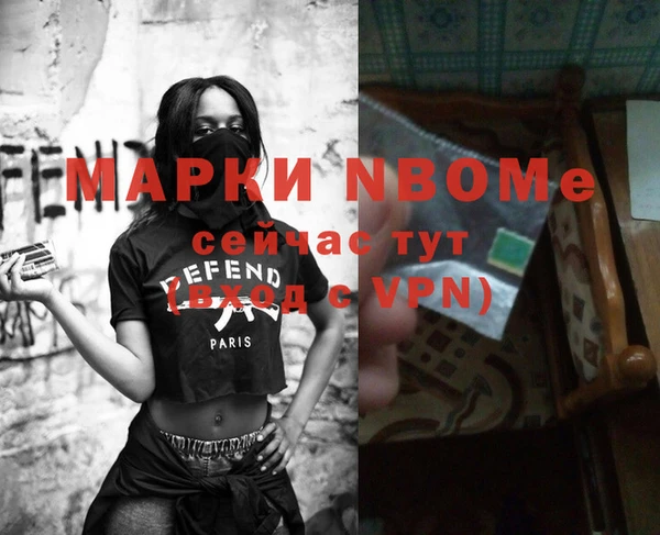 крисы Козельск