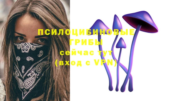 крисы Козельск