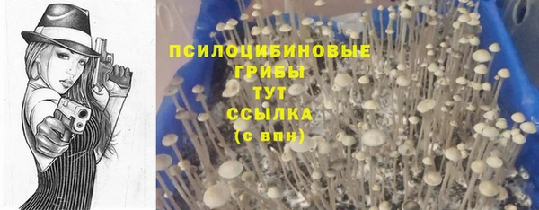 крисы Козельск