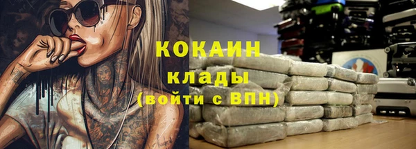 крисы Кодинск