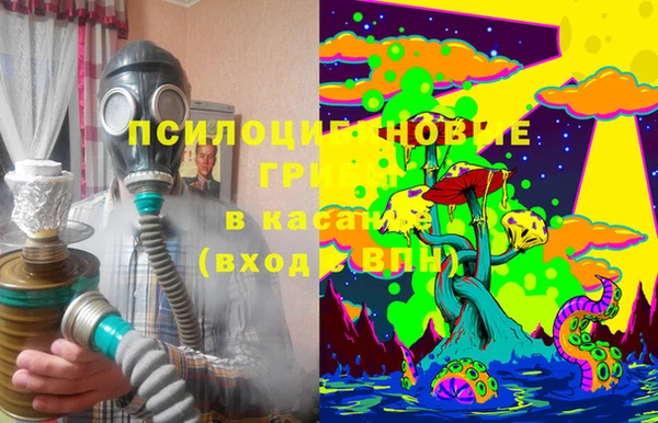 соль курить ск Козловка
