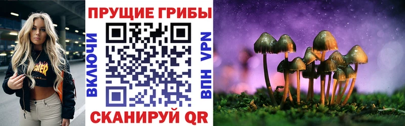 Галлюциногенные грибы Psilocybine cubensis  даркнет сайт  Нерехта 